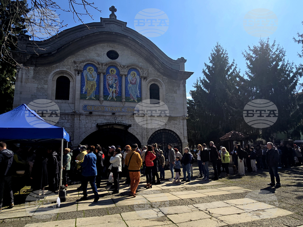 Опашки от вярващи се образуваха пред храмовете в Добричко за получаване на върбови клонки и молитва за здраве на празника Цветница