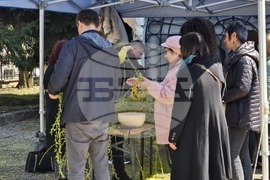 Добрич - Цветница