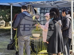 Добрич - Цветница