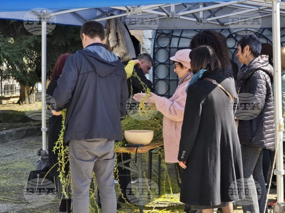 Добрич - Цветница