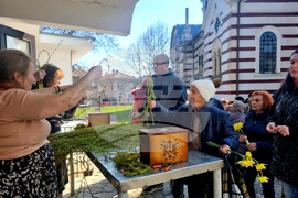 Добрич - Цветница