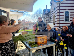 Добрич - Цветница