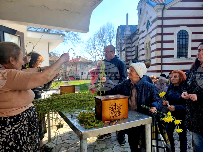 Добрич - Цветница