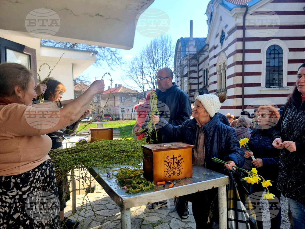 Добрич - Цветница