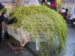 Генерал Тошево - Цветница - празнична литургия