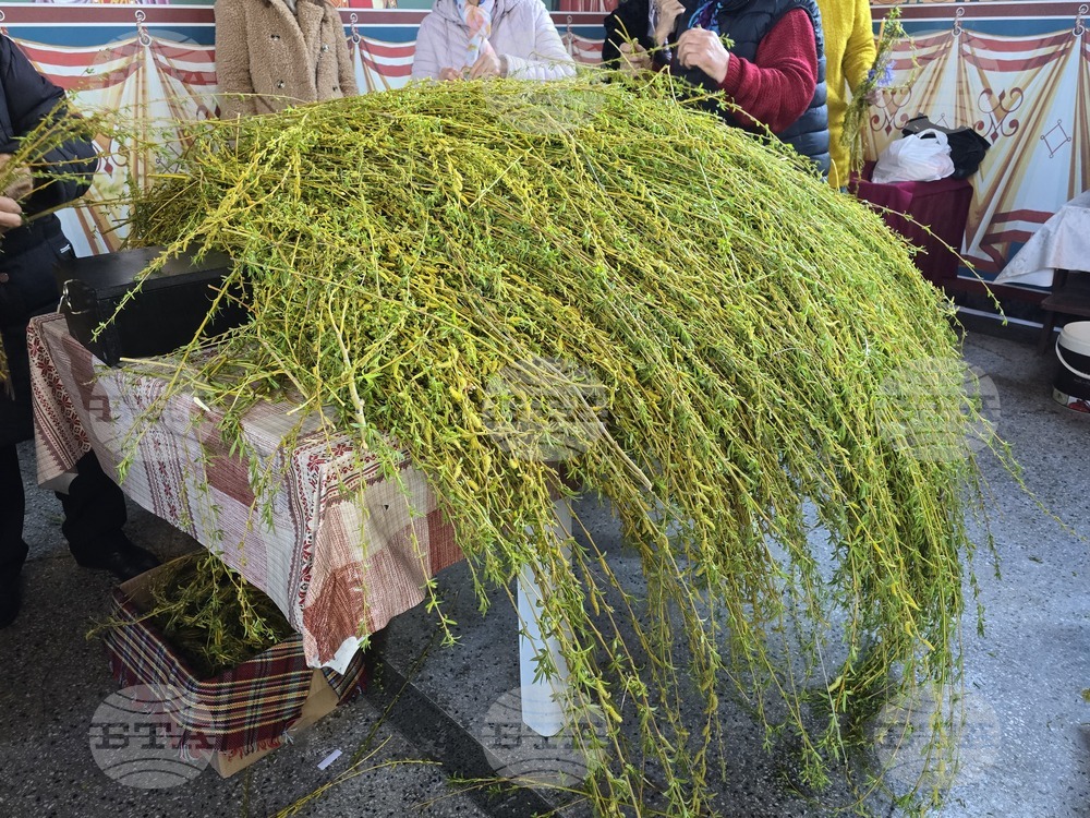 Генерал Тошево - Цветница - празнична литургия