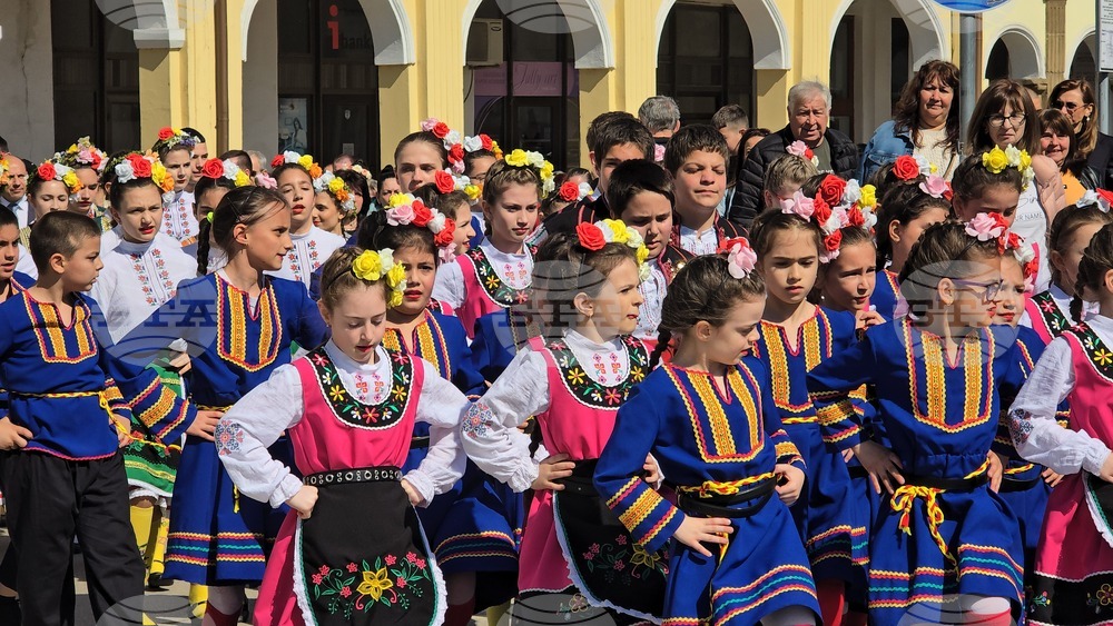 Ловеч - Цветница