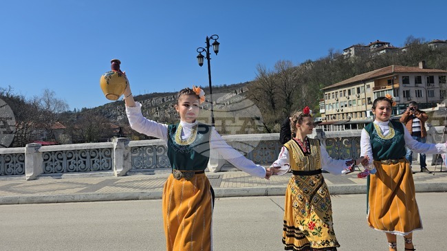 Ловеч - Цветница