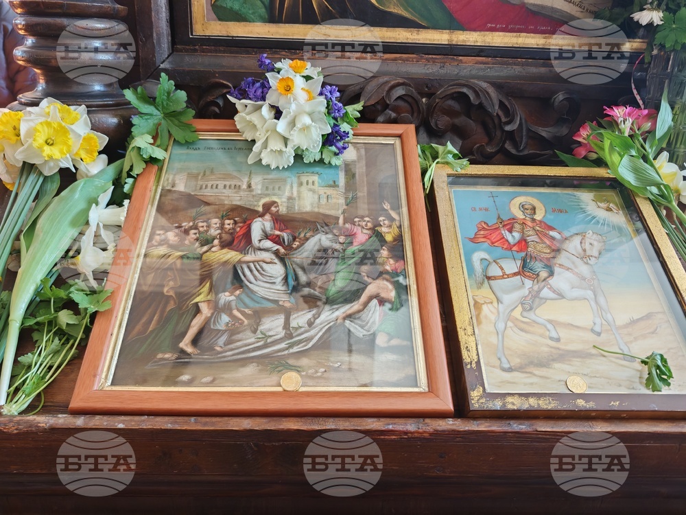 Габрово​ - ​Цветница