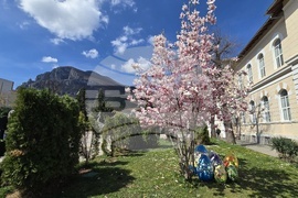 Враца - Цветница - празник