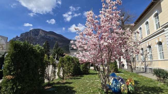 Започва пролетната обработка на площите срещу инсекти, предупреждават от Община Враца