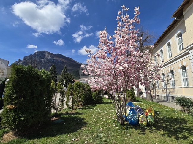 Започва пролетната обработка на площите срещу инсекти, предупреждават от Община Враца