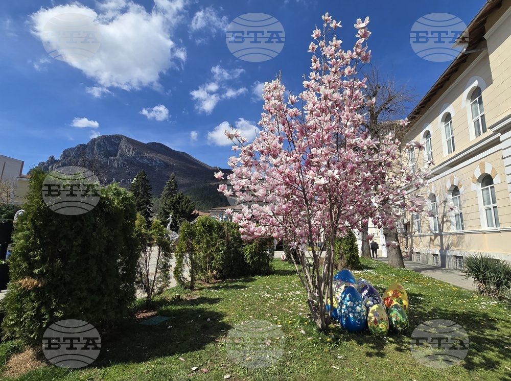 Враца - Цветница - празник