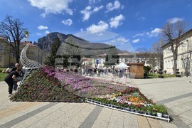 Враца - Цветница - празник