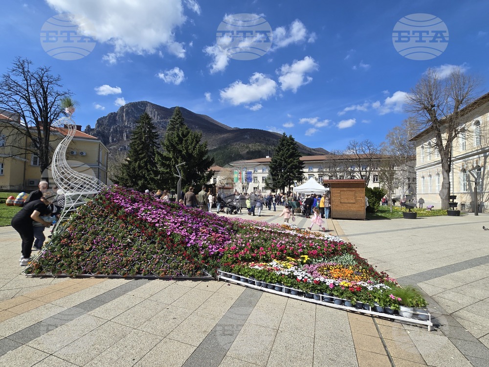 Враца - Цветница - празник