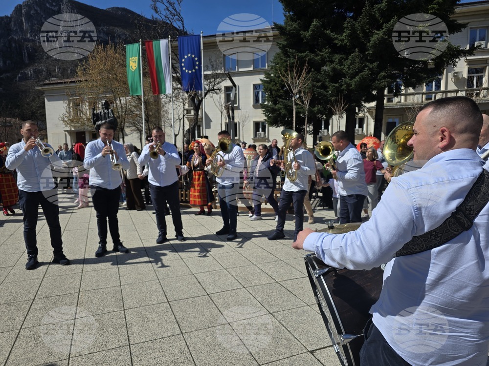 Враца - Цветница - празник