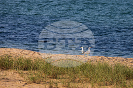 Джиро Д‘Италия (Giro d’Italia) в България - етап 1: маршрутът оживява през обектива на БТА