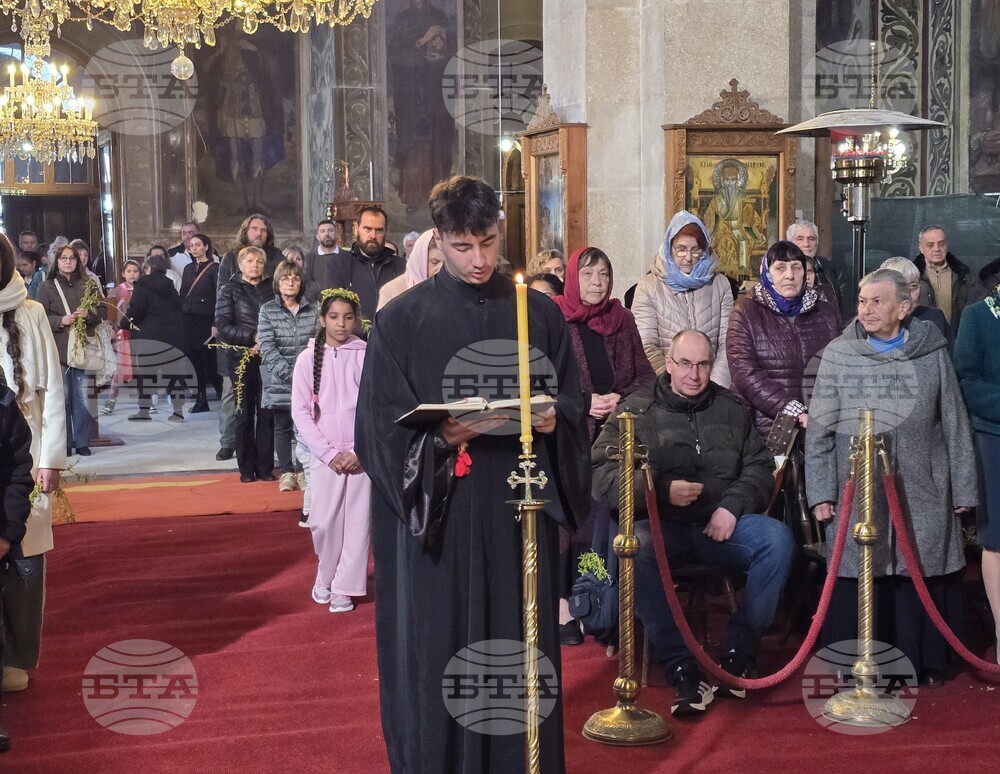 Видин - Цветница - литургия