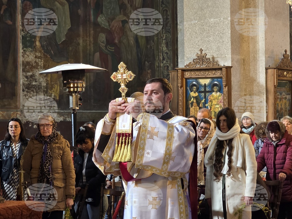 Видин - Цветница - литургия