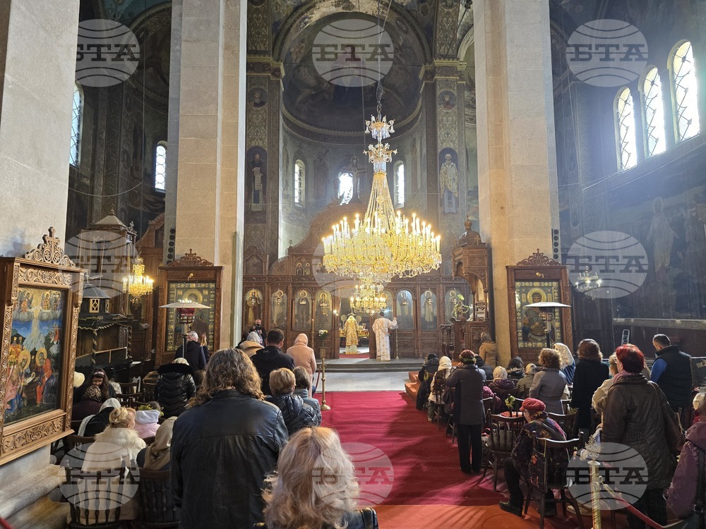 Видин - Цветница - литургия