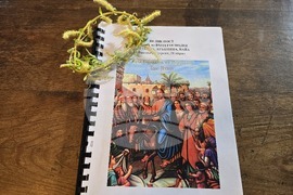 Видин - Цветница - литургия