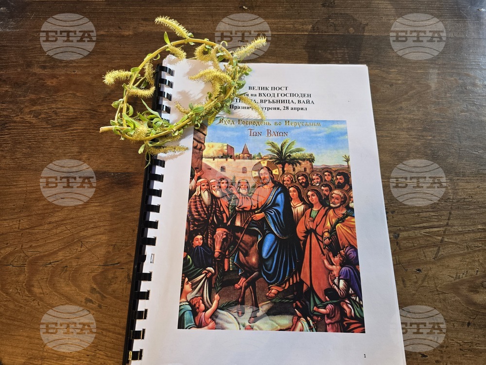 Видин - Цветница - литургия