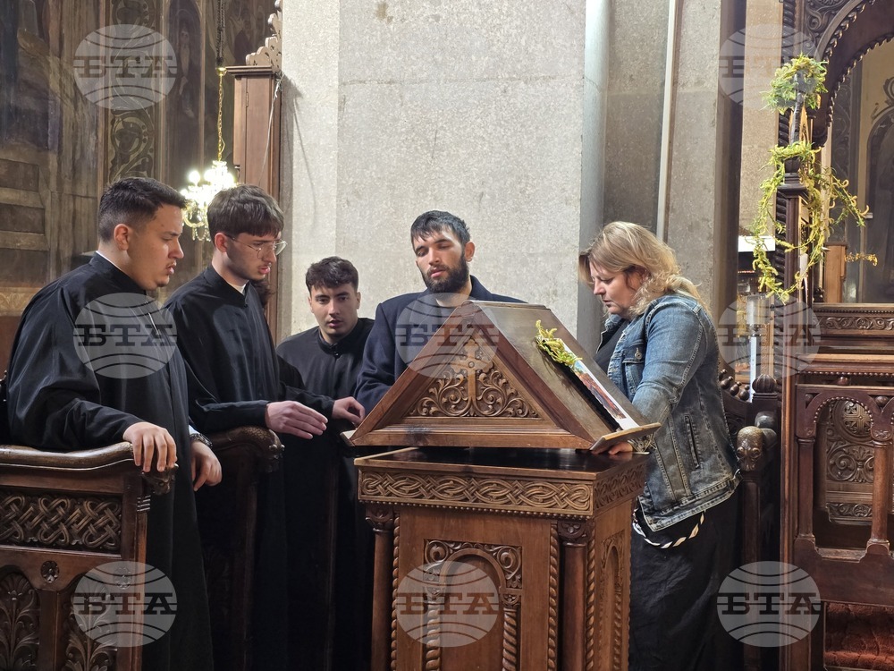 Видин - Цветница - литургия