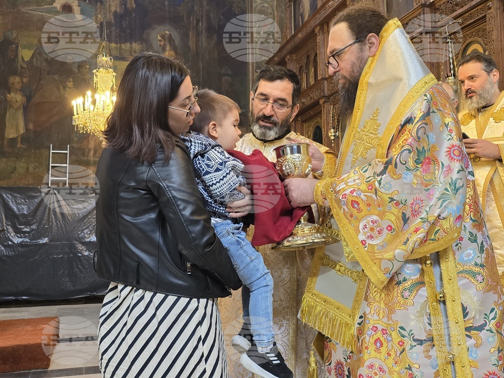 Видин - Цветница - литургия