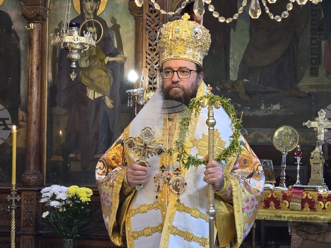 Върбовите клонки са знак за Божието благословение и спомен за влизането на Христос в Йерусалим, каза Видинският митрополит Пахомий