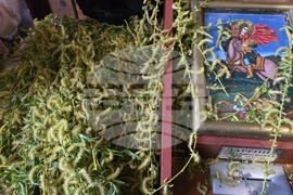 Видин - Цветница - литургия