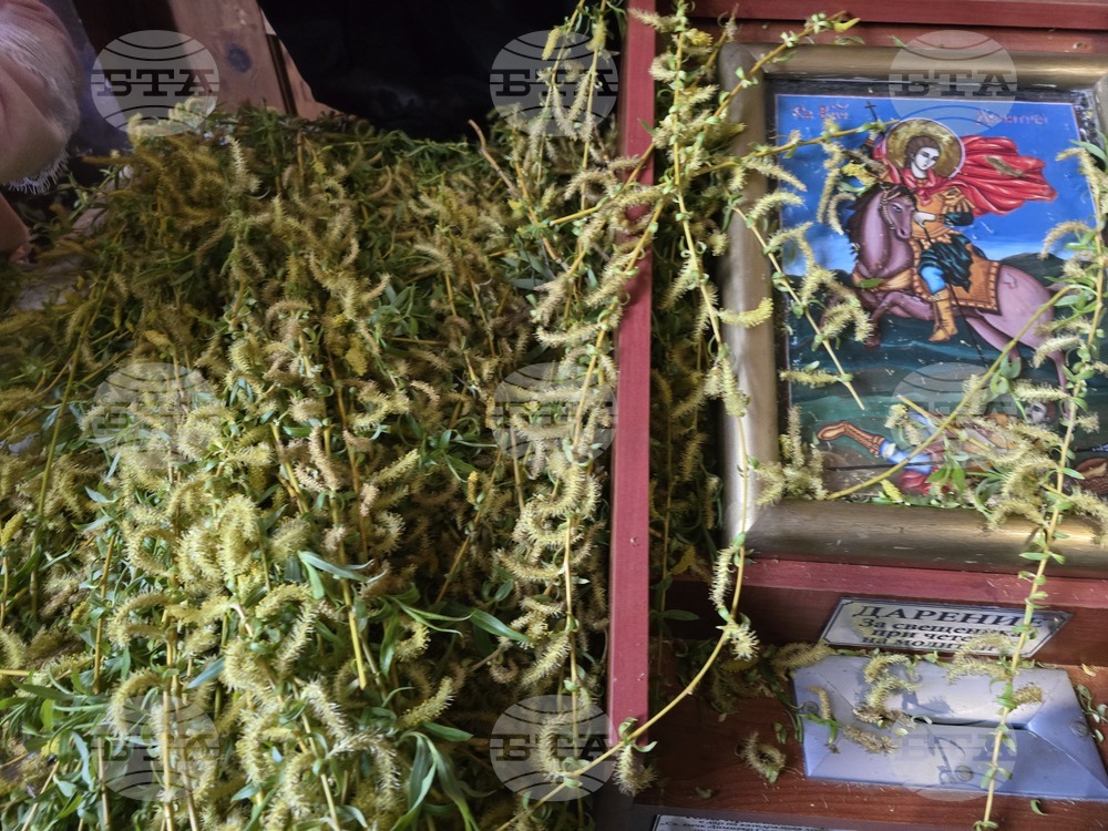 Видин - Цветница - литургия