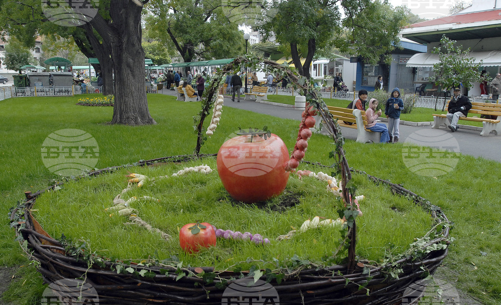 Джиро Д‘Италия (Giro d’Italia) в България - етап 2: маршрутът оживява през обектива на БТА