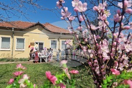 Село Цветница - Народно читалище „Светлина - 1928“ - празник „На Цветница в Цветница“