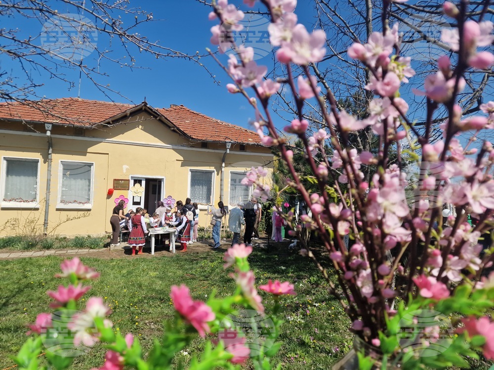 Село Цветница - Народно читалище „Светлина - 1928“ - празник „На Цветница в Цветница“