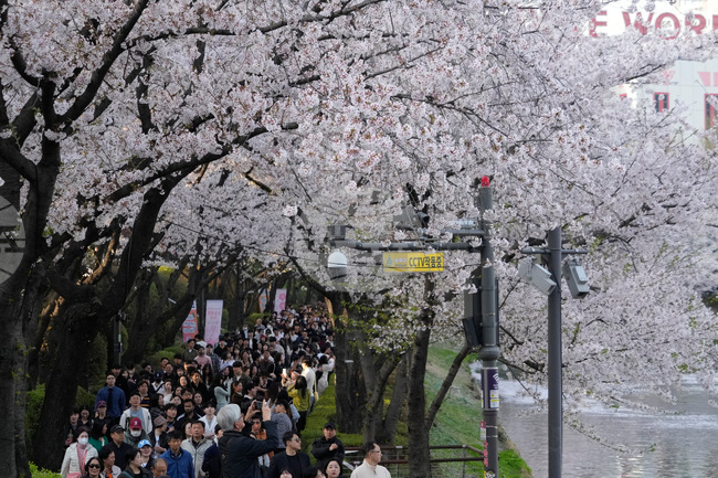 South Korea Daily Life