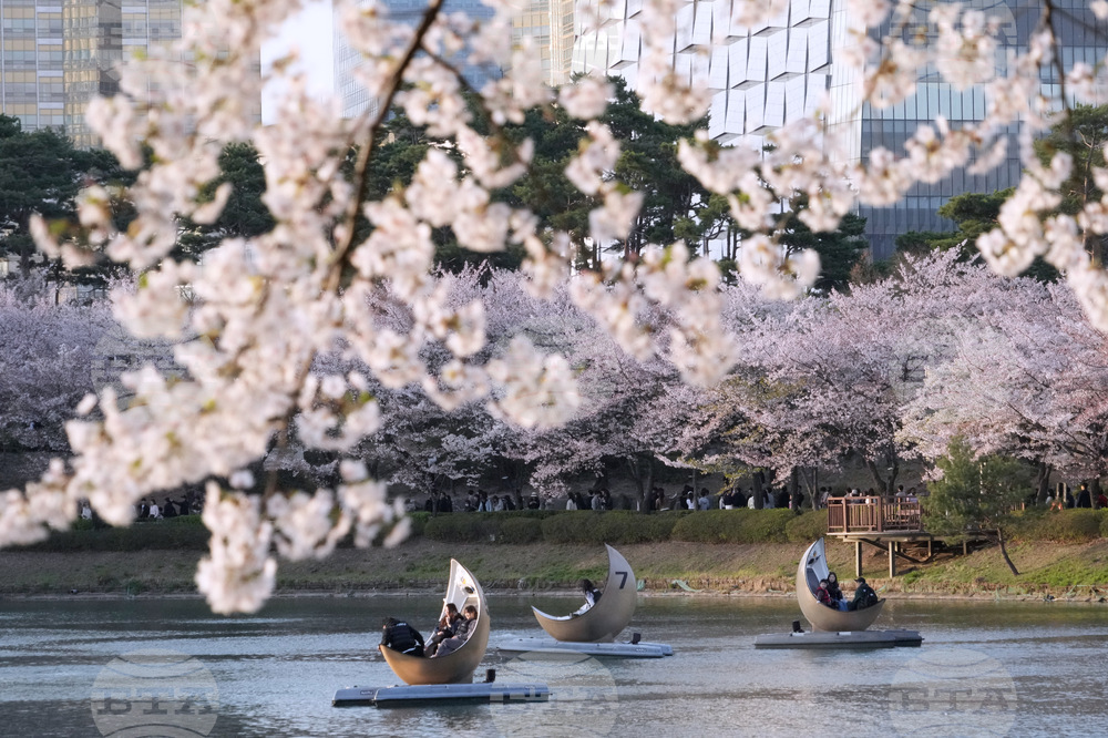 South Korea Daily Life