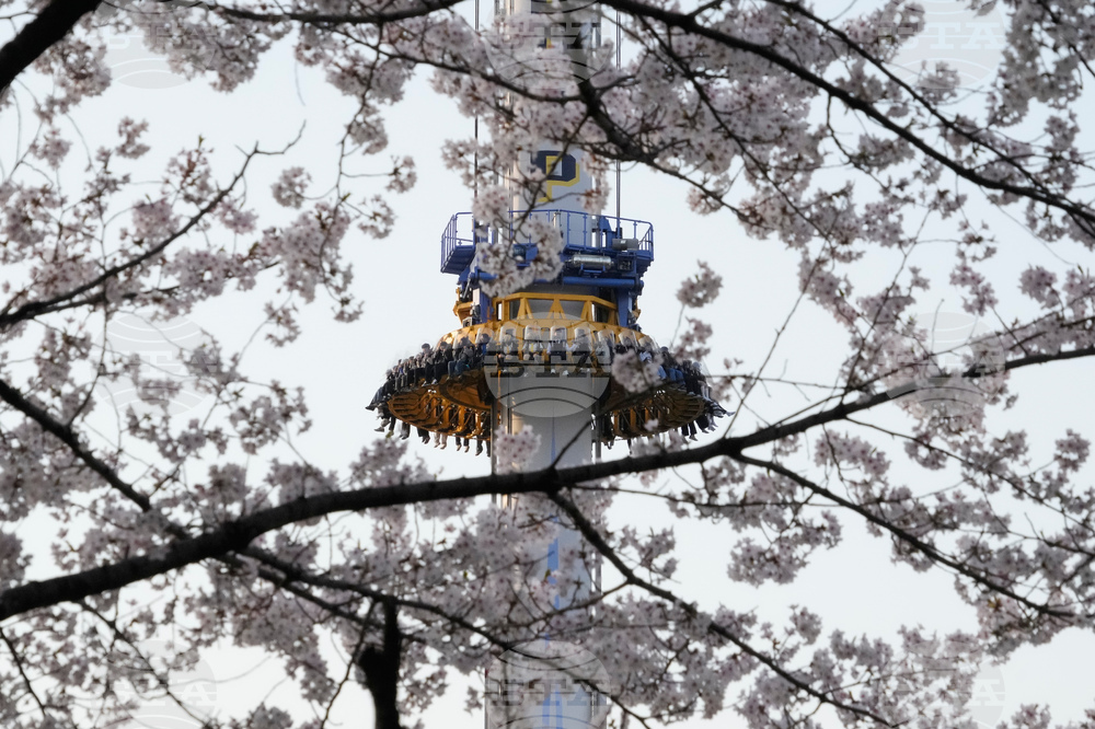 South Korea Daily Life