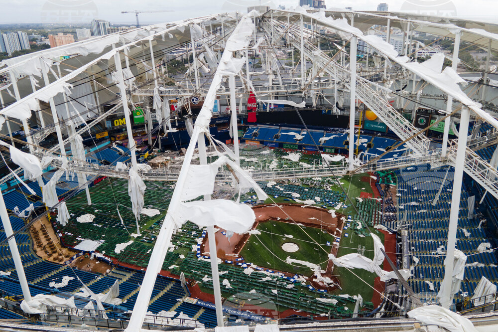 Rays Tropicana Field Baseball