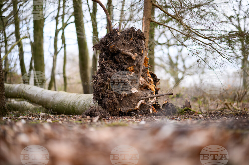 Germany Easter Tragedy