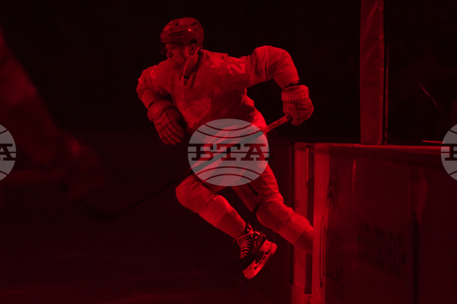 Wild Red Wings Hockey