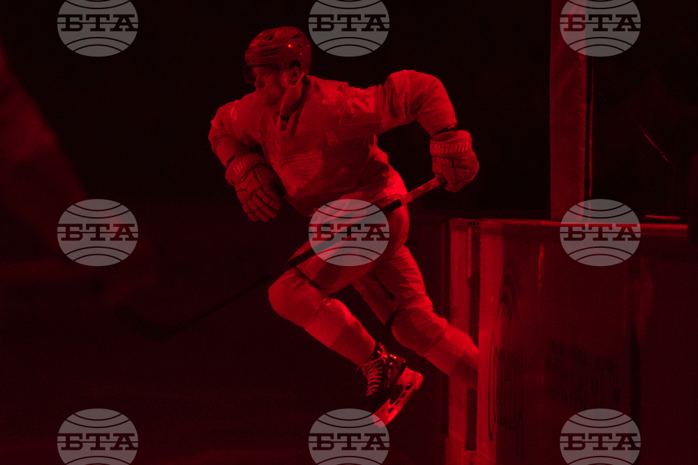 Wild Red Wings Hockey