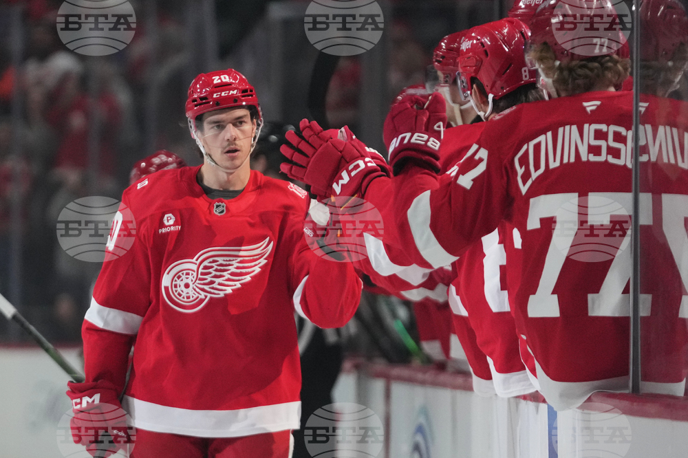 Wild Red Wings Hockey