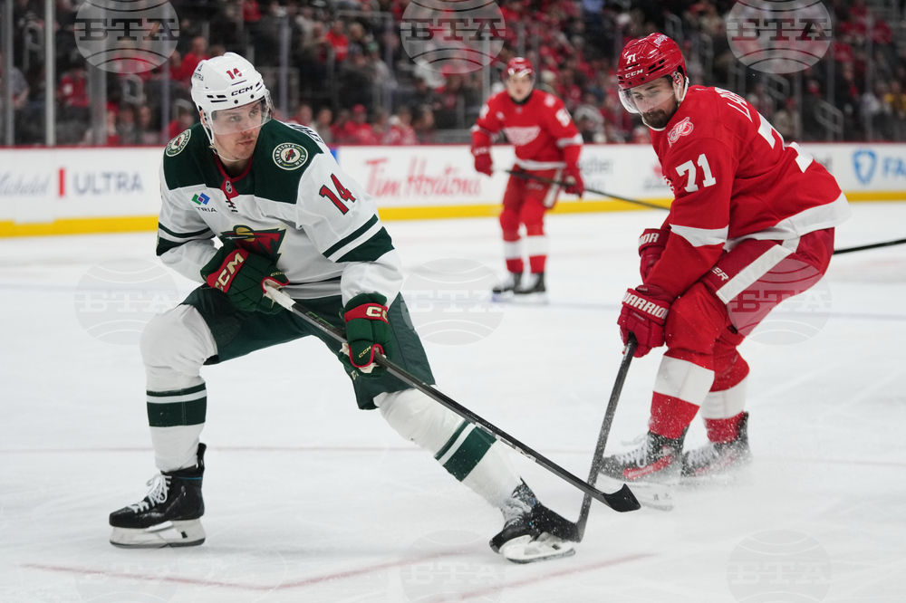 Wild Red Wings Hockey