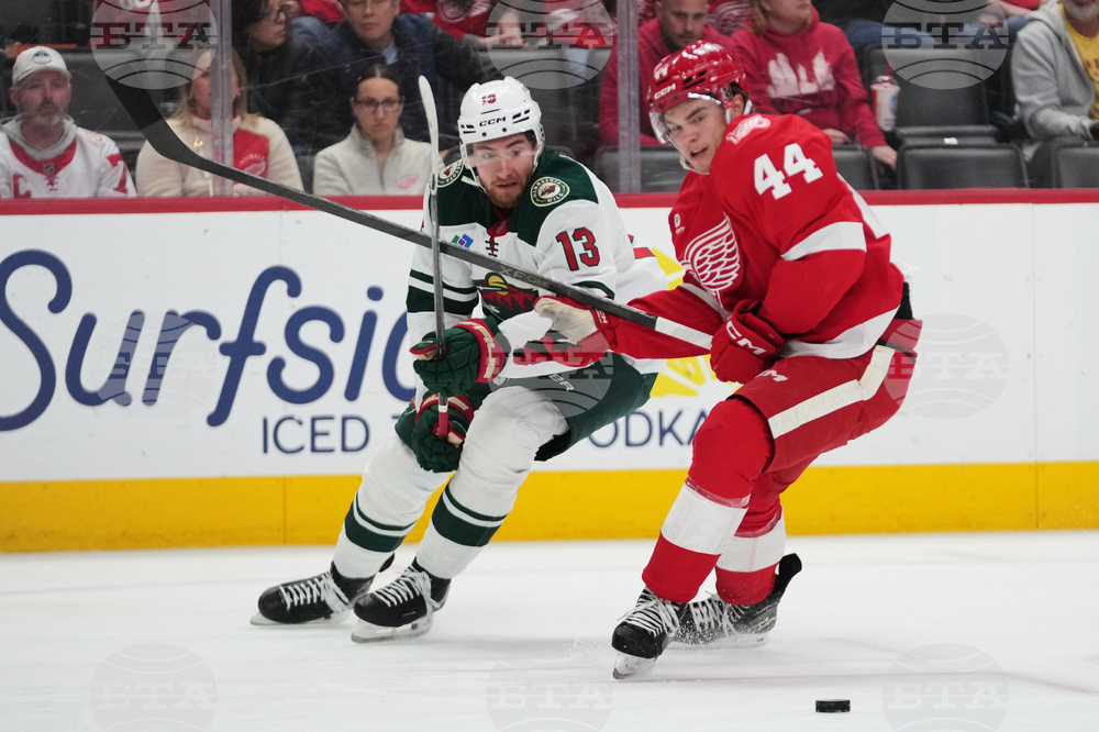 Wild Red Wings Hockey