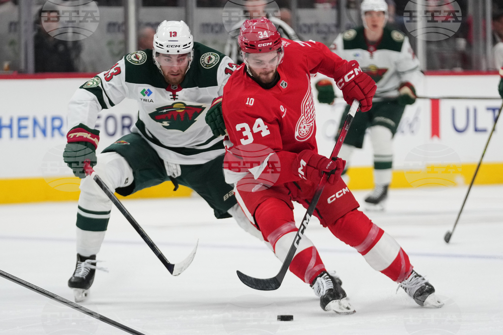 Wild Red Wings Hockey