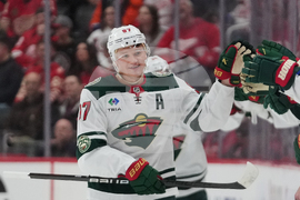 Wild Red Wings Hockey