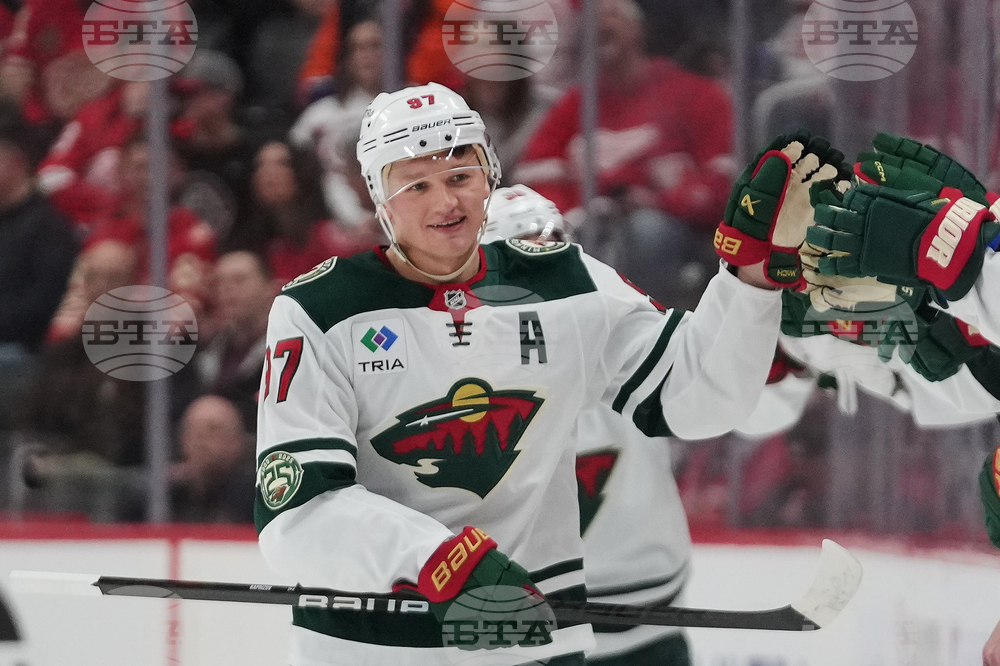 Wild Red Wings Hockey