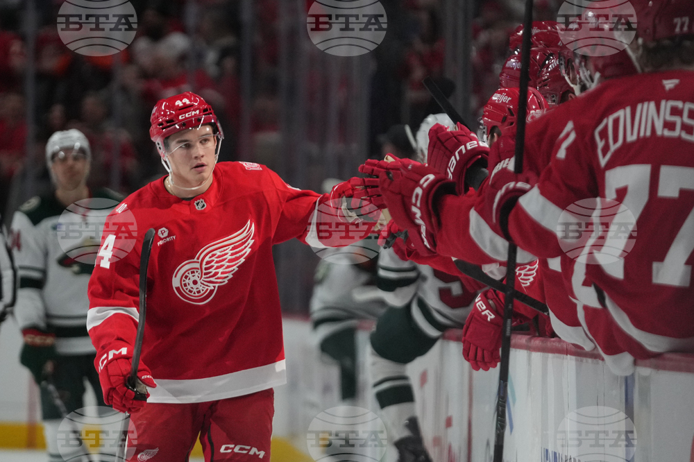 Wild Red Wings Hockey