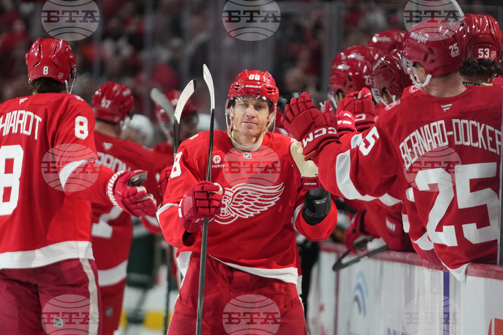 Wild Red Wings Hockey