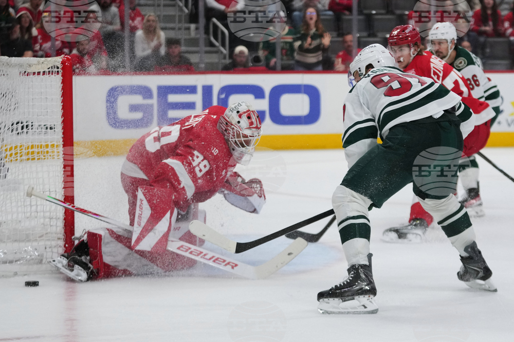 Wild Red Wings Hockey